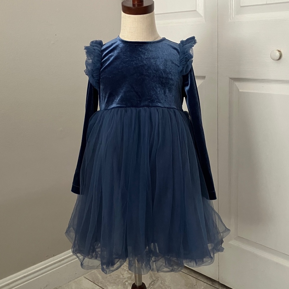 GGTUKIDS Girls Long Sleeve Velvet & Tulle Party Dress | 110 / 4T